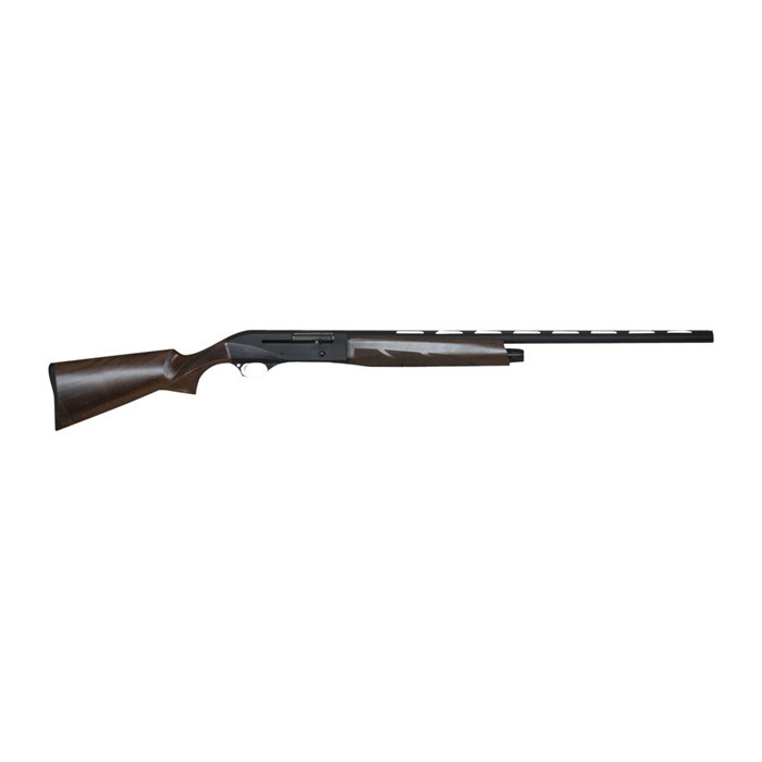 Vizards Guns and Ammo