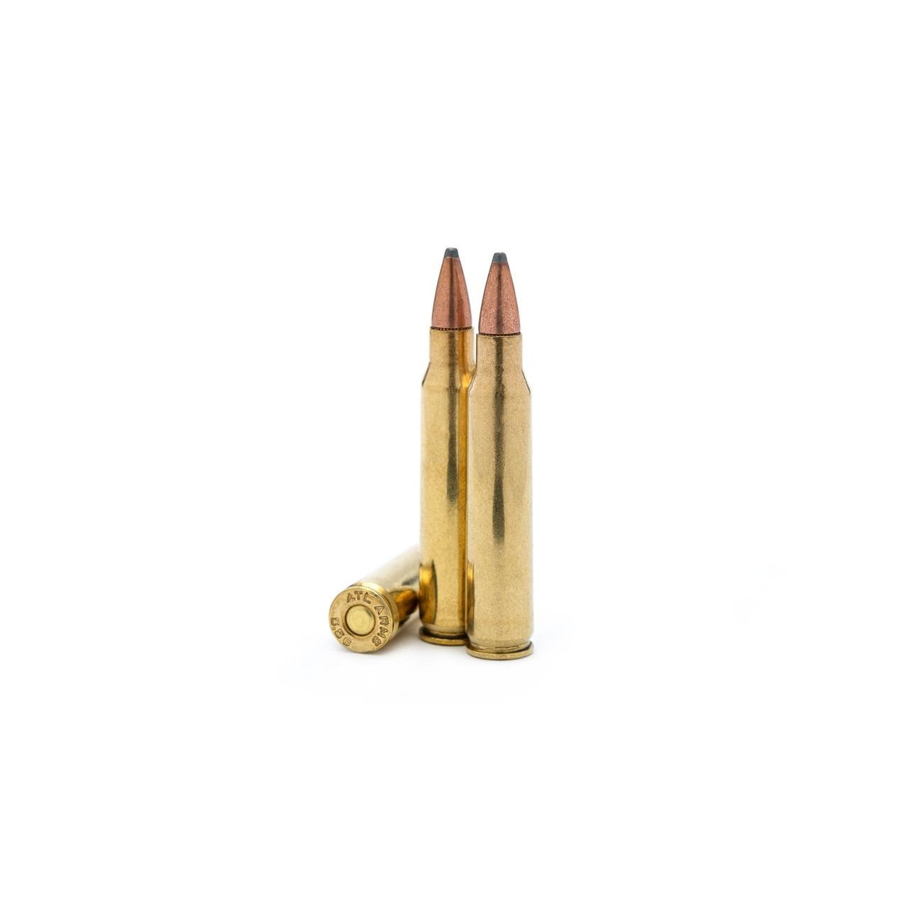 Vizards Guns and Ammo