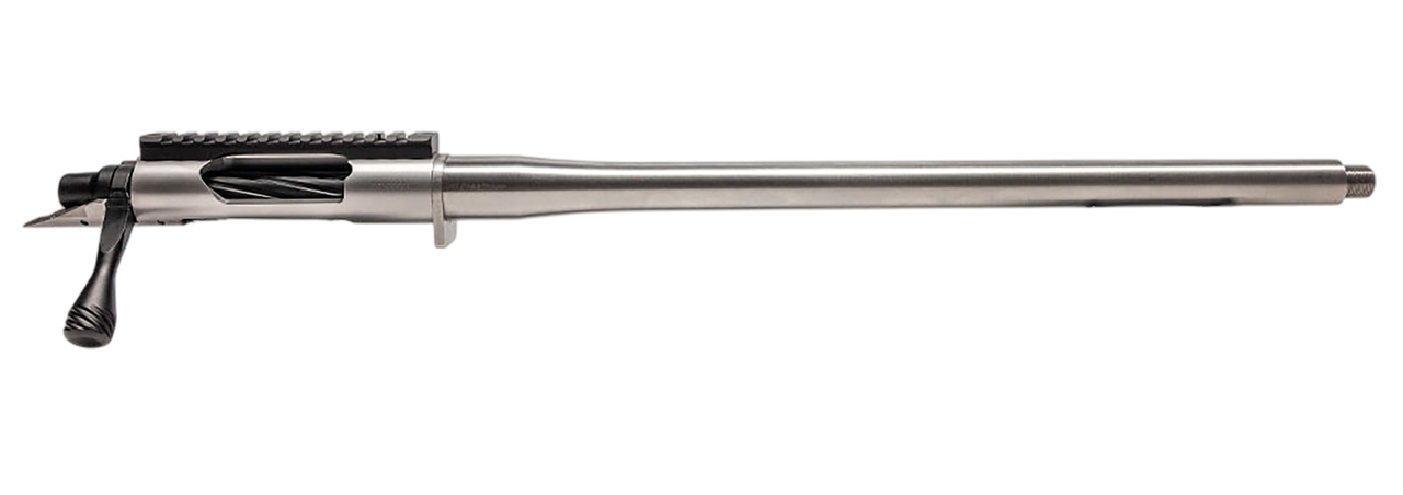 Vizards Guns and Ammo