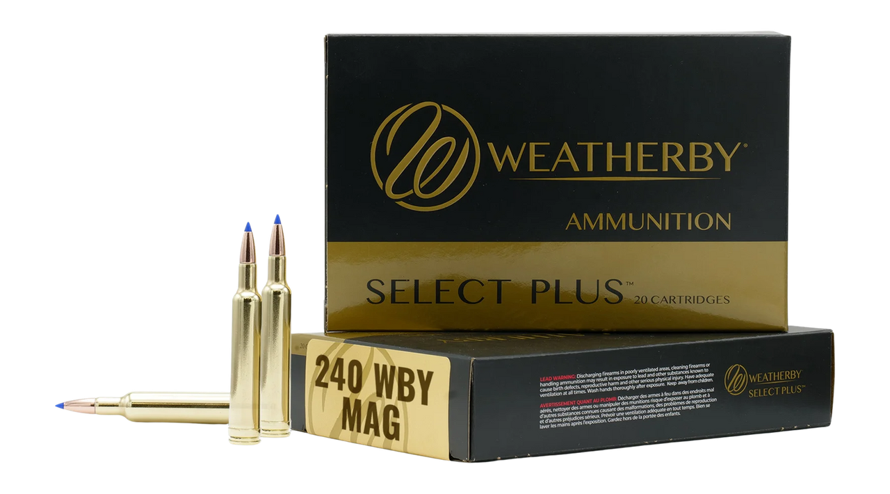 Vizards Guns and Ammo