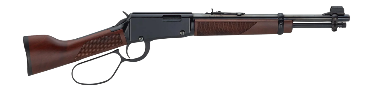Vizards Guns and Ammo