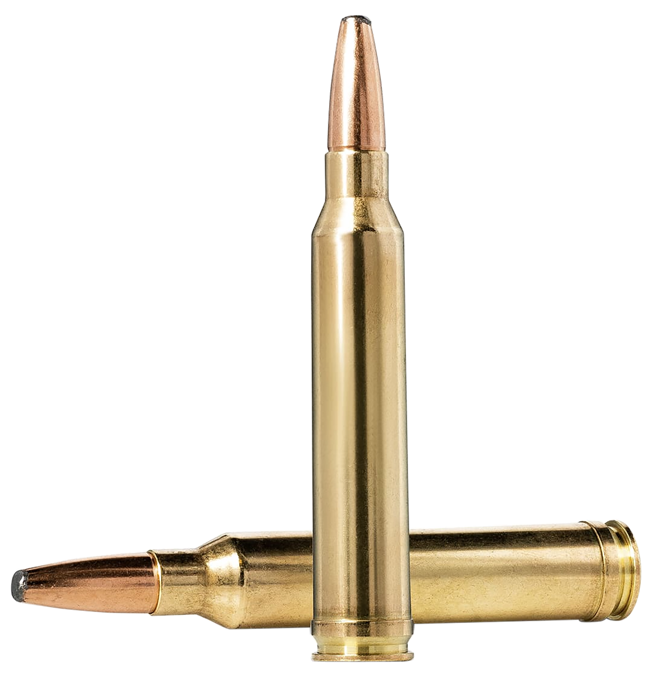 Vizards Guns and Ammo