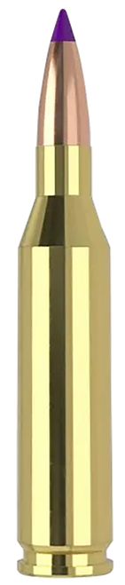 Nosler .243 Winchester Ammo 70gr BT Ammunition - 20 Rounds