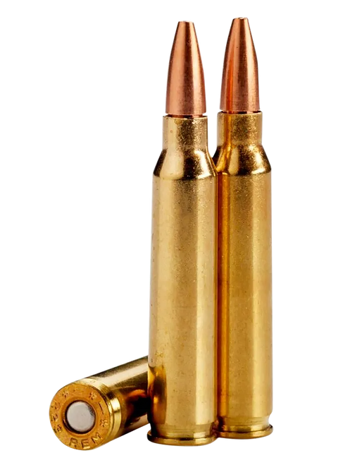 LEHIGH DEFENSE 223 Ammo 55gr Lehigh Defense Controlled Chaos Ammunition - 20 Rounds