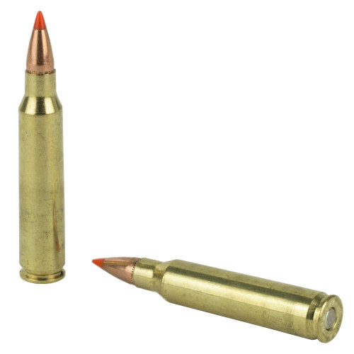 Armscor 223 Rem Ammo 55gr VMAX Ammunition - 20 Rounds