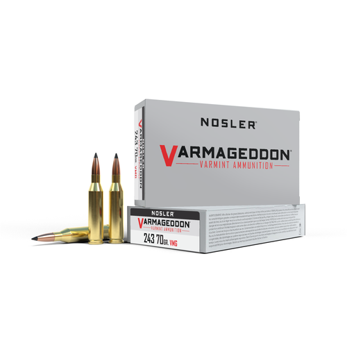 Nosler 243 Win Ammo 70gr PT Ammunition - 20 Rounds