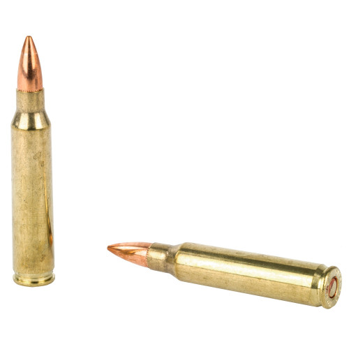 Hornady 5.56 NATO Ammo 62gr FMJ Ammunition - 20 Rounds