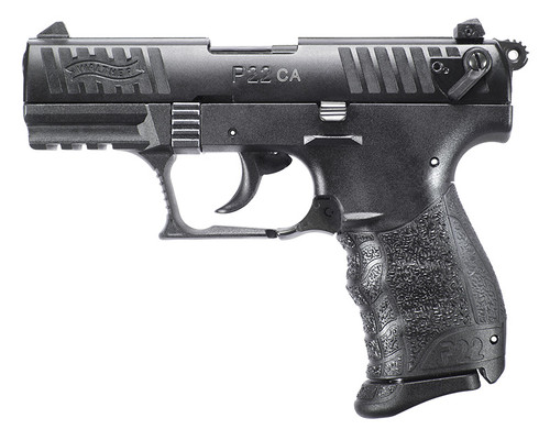 P22 .22 L.R. CA Blk 10Rd 