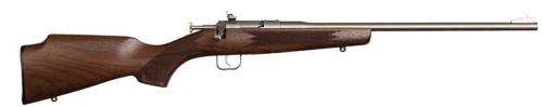 Chipmunk Dlx Youth 22 LR 16.1"  Walnut/SS 1rd