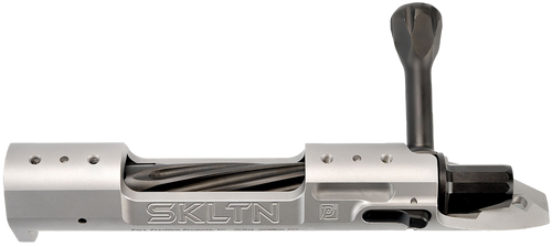 P2 IN-00279 SKLTN SA RH STANDARD SS