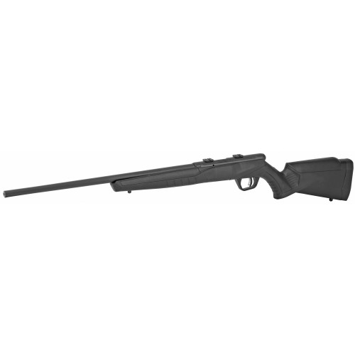 SAV B17 F 17HMR 21" 10RD BLK