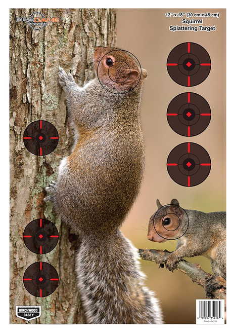 Birchwood Casey 35406 Pregame  Squirrel Paper Hanging Rifle 12" x 18" Impact Enhancement 8 Per Pkg