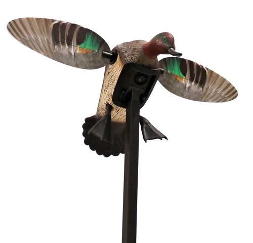 Mojo Outdoors HW24743P Elite Series Green Winged Teal Duck Species Natural Molded Plastic Features Remote Compatible
