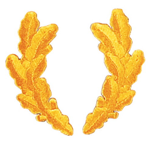 Scrambled Eggs Military Patch