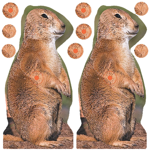 Birchwood Casey 34786 Shoot-N-C Reactive Target Self-Adhesive Paper Brown 8" Prairie Chuck 12 Pack