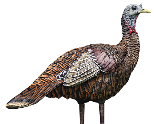 Avian X AVXAVX8006 LCD Lookout Hen Turkey Species Multi Color Dura-Rubber