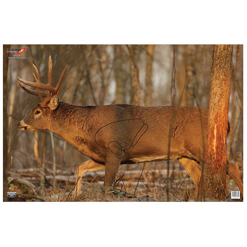 BC EZE-SCORER DEER 23X35 2PK (12)