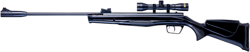 Beeman 10616GP Sportsman Combo Gas Ram 177 Pellet 1rd, Black, Fixed Synthetic Stock, Fiber Optic Sights, 4x32mm Scope