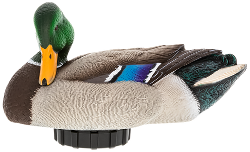 Avian X AVXPSHMDPR Power Shaker  Mallard Drake Preener Duck Decoy