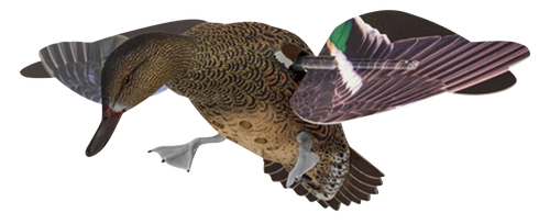 Avian X AVXPFLHT PowerFlight Hen Green-Winged Teal spinning wing decoy
