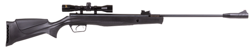 Beeman 1061622 Air Rifle Combo 22