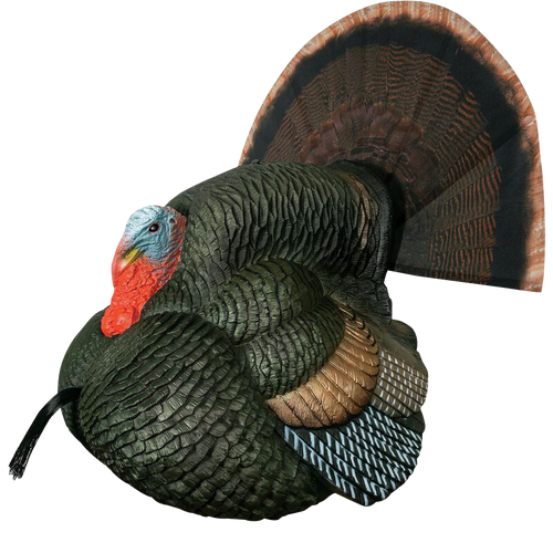 Primos 69076 Lil' Gobblestopper Strutter Box Call Turkey Sounds