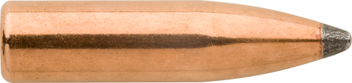 Sierra 1540 Pro-Hunter  6mm 100gr Spitzer 100/Box