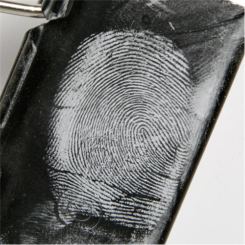 Magnetic Powder