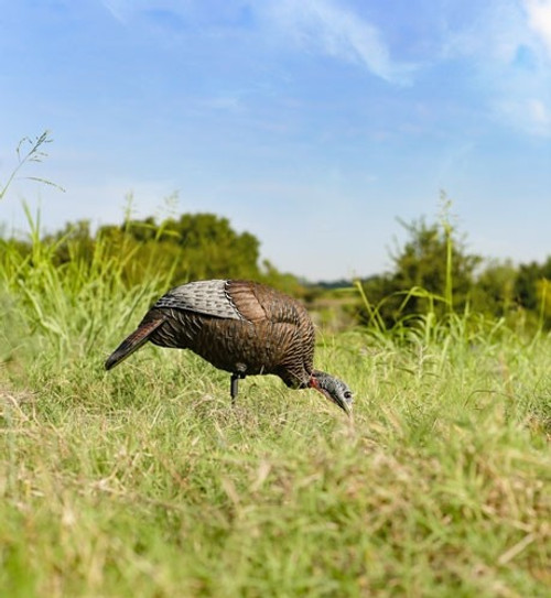 HEN DECOY W/STAKEFLEXTONE THUNDER CHICK FEEDING 