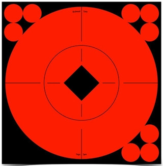 BC TARGET SPOTS 6" TARGET - 10PPAST