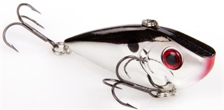 SK RED EYED SHAD CHT BAITFISH