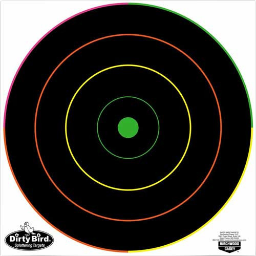 -COLOR BULL'S-EYE 10 TARGETSB/C TARGET DIRTY BIRD 12"MULTI 