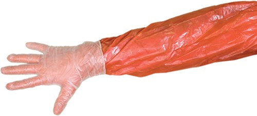 4-PACK W/ MOIST TOWLETTESMUDDY FIELD DRESSING GLOVE KIT 