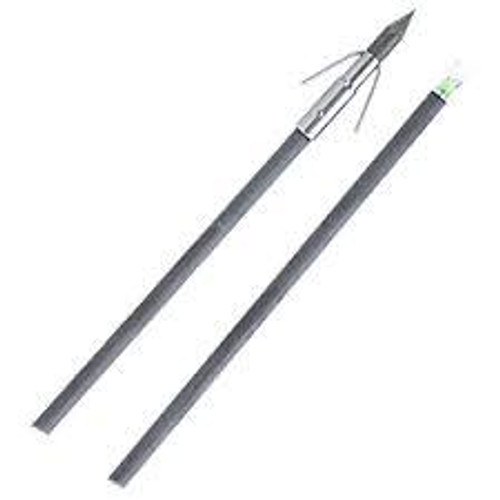Muzzy Lighted Carbon Composite Arrow with Carp Point