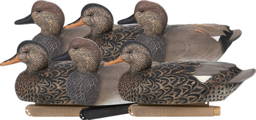 6 PACKZINK FLOATER DECOYS GADWALL 
