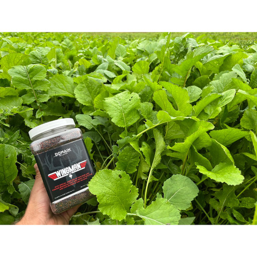 Domain Wingman Seed 1/4 Acre