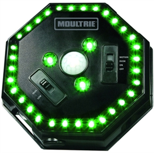 MOUL FEEDER HOG LIGHT