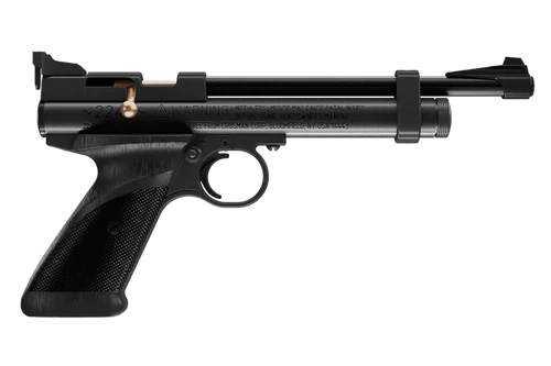 Daisy 2240 2240  Black Polymer CO2 22 Cal, Single Shot Bolt Action