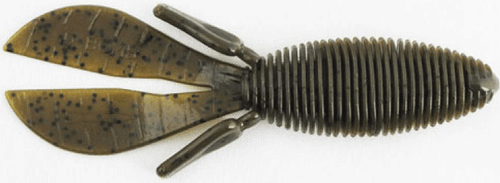 MISS D BOMB 4.5" 6PK GRN PUMPKIN