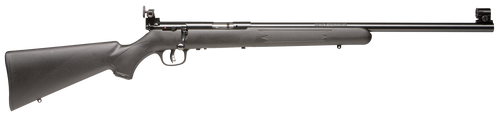 Savage 28800 22 LR Bolt Centerfire Rifle FVT 21" 5+1 062654288005