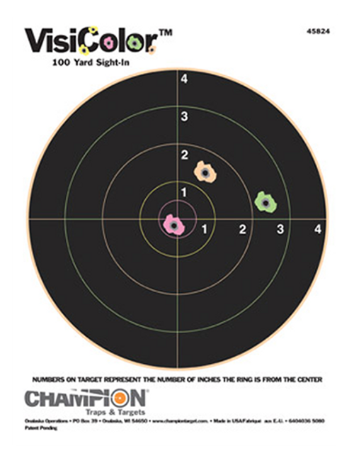 Champion Targets 45824 Shooting Target Interactive Target 076683458247