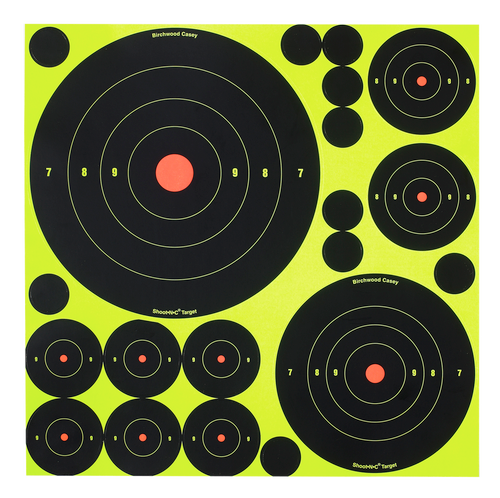 Birchwood Casey 34018 Shooting Target 029057340181