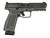 Arex Delta Gen.2 L Pistol - Gray | 9mm | 4.5" Barrel | 19rd | Optic-Ready