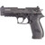 GSG Firefly Pistol 22 LR. 4 in. Black 10 rd.