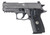P229 Legion 9MM 3.9" Grey NS *MA* 10rd