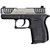 Diamondback DB380 Gen IV Pistol 380 ACP 2.8 in. Duo Tone 6 rd.