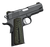 KIMBER PRO TLE II 45 PSTL STS NS
