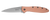 Leek