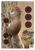Birchwood Casey 35406 Pregame  Squirrel Paper Hanging Rifle 12" x 18" Impact Enhancement 8 Per Pkg