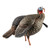 AVIAN-X HDR JAKE TKY DECOY